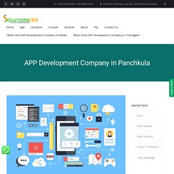 APP Development Company in Panchkula