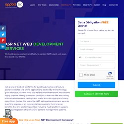 Asp.NET Web Development Services USA