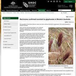 GRDC 03/06/14 Red brome confirmed resistant to glyphosate in Western Australia