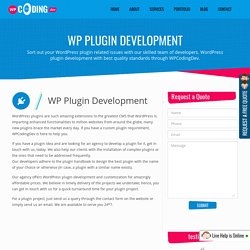 WordPress Plugin Development and Customization Services