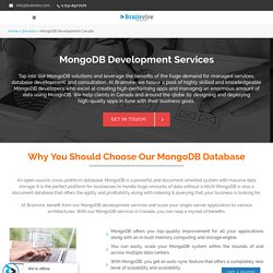 Expert MongoDB Database Development Services