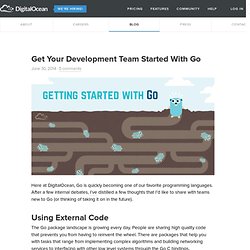 Get Your Development Team Started With Go