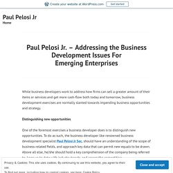 Paul Pelosi Jr. – Addressing the Business Development Issues For Emerging Enterprises