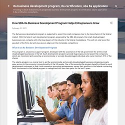 How SBA 8a Business Development Program Helps Entrepreneurs Grow