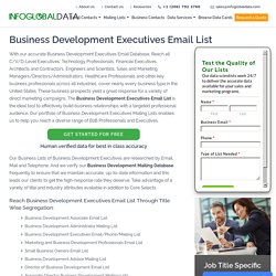 Business Development Executives Email List