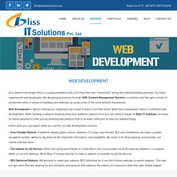 Web Development and Custom Framework Services