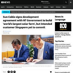 Sun Cable signs development agreement with NT Government to build 'world's largest solar farm', but intended customer Singapore yet to commit