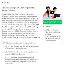 ASP.Net Development - More Important To Create a Website