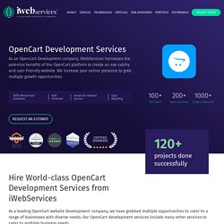 Hire Certified OpenCart Developers