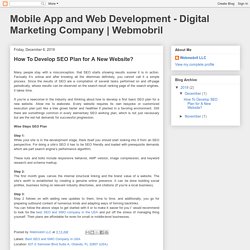 How to Develop SEO Plan for a New Website?