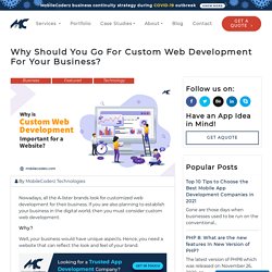 Why Should You Go For Custom Web Development For Your Business? – MobileCoderz