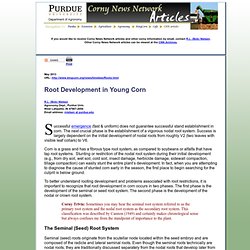 Root Development in Young Corn - Corny News Network (Purdue University)