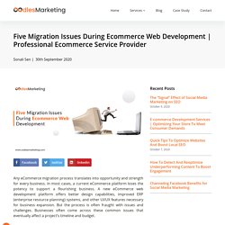 Professional Ecommerce Service Provider - Digital Marketing Company