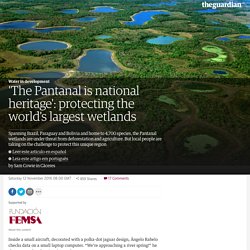 'The Pantanal is national heritage': protecting the world's largest wetlands