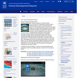 2013 Human Development Report