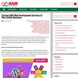 Custom CMS Web Development Services to Your Online Business – Blog-SamWebSolution