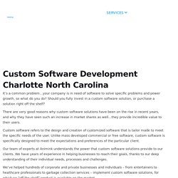 Custom Software Solutions NC - Animink