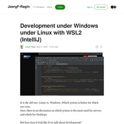 Development under Windows under Linux with WSL2 (IntelliJ)