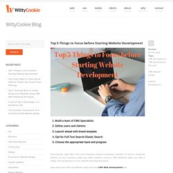 Top 5 Things to Focus before Starting Website Development - WittyCookie