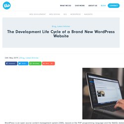 Development Life Cycle of a Wordpress Website