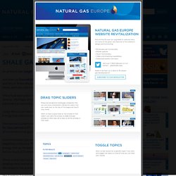 View 5 - Natural Gas for Europe website 2010