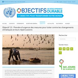 Objectif de Développement Durable - Changements Climatiques