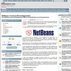 NetBeans 7.3 sort en RC et intègre Easel, une plateforme pour le développement HTML5 et JavaScript dans un environnement Java