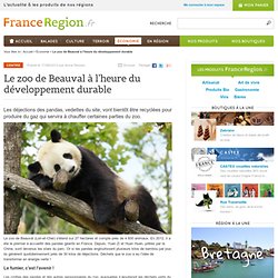Le zoo de Beauval à l’heure du développement durable