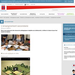 Éducation au développement durable, Sensibiliser les élèves et les étudiants, L’enseignement secondaire