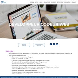 Développeur Codeur Web - ESCCI