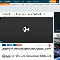 Ubuntu : Budgie Remix devient une variante officielle