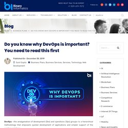Do you know why DevOps is important? - Binary Informatics