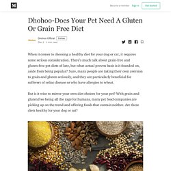 Dhohoo-Does Your Pet Need A Gluten Or Grain Free Diet