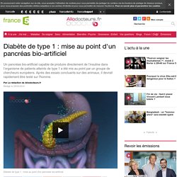 Diabète de type 1 : mise au point d'un pancréas bio-artificiel