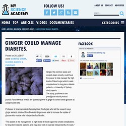 Ginger could manage diabetes.