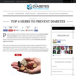 Top 4 Herbs To Prevent Diabetes - Best Herbal Remedies To Control Diabetes