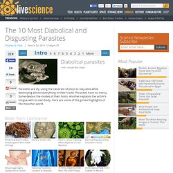 The 10 Most Diabolical and Disgusting Parasites