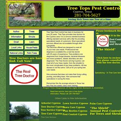 TREE DOCTOR, Tree Diagnosis, Tree Diseases Spring Tree Care, Cypress
