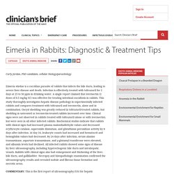 Eimeria in Rabbits: Diagnostic & Treatment Tips