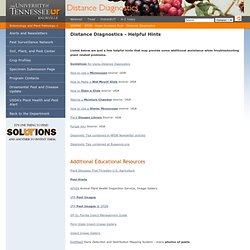 Distance Diagnostics Usage Guidelines, Department of Entomology and Plant Pathology, University of Tennessee