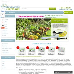 Buy Diatomaceous Earth Food Grade