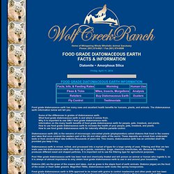 Diatomaceous Earth - Food Grade Diatomaceous Earth Health Benefits