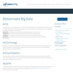 Dictionnaire Big Data