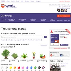 Dictionnaire des plantes : choisir et cultiver ses plantes