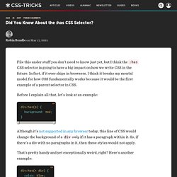 Did You Know About the :has CSS Selector?
