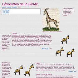 Didac-TIC - L'évolution de la Girafe