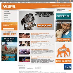 WSPA | Dierenwelzijn en Dierenmishandeling