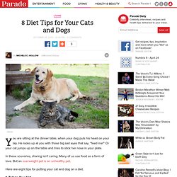8 Diet Tips for Your Cats and Dogs