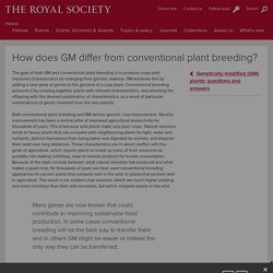 How does GM differ from conventional plant breeding?
