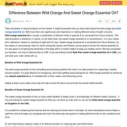 Difference Between Wild Orange And Sweet Orange Essential Oil?